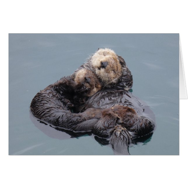 Sea Otter Mom and Pup (Anverso (Horizontal))