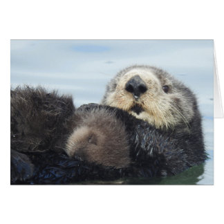 Sea Otter Mom and Pup
