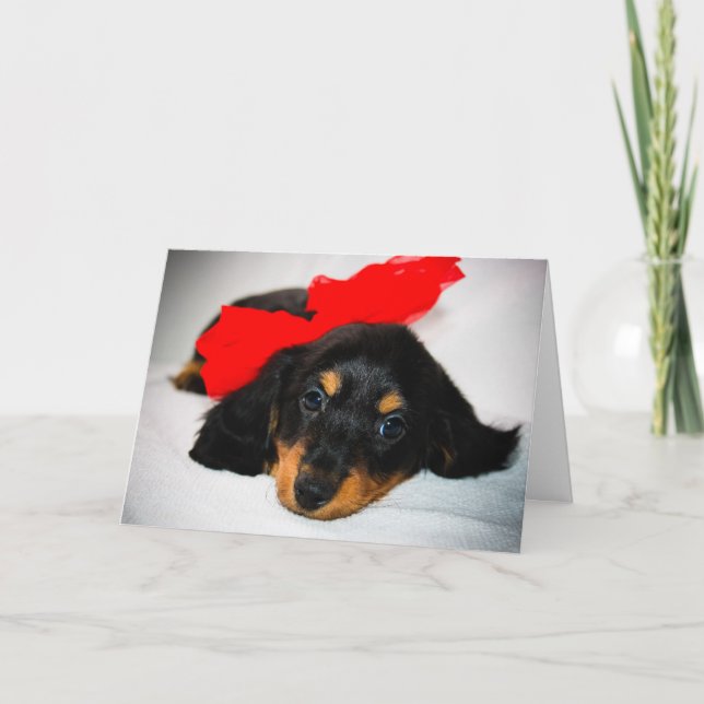 Sea tarjeta del el día de San Valentín del perrito (Anverso)