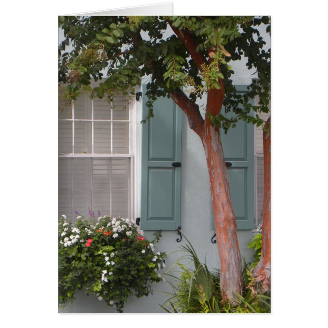 Seagreen Shutters (Frente)