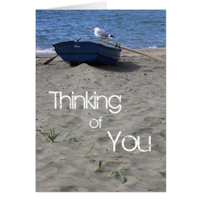 Seagull Sailor (Frente)