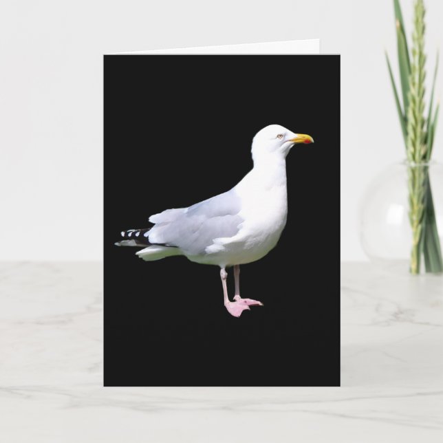 Seagull Standing Añadir Tarjeta De Saludos De Text (Anverso)