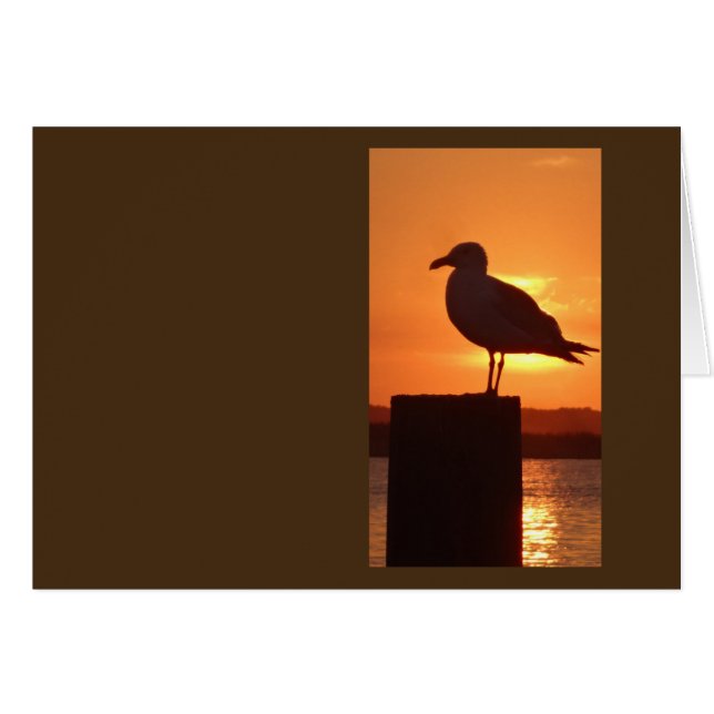 Seagull Sunset (Anverso (Horizontal))