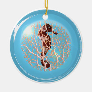 Seahose en un ornamento de la burbuja