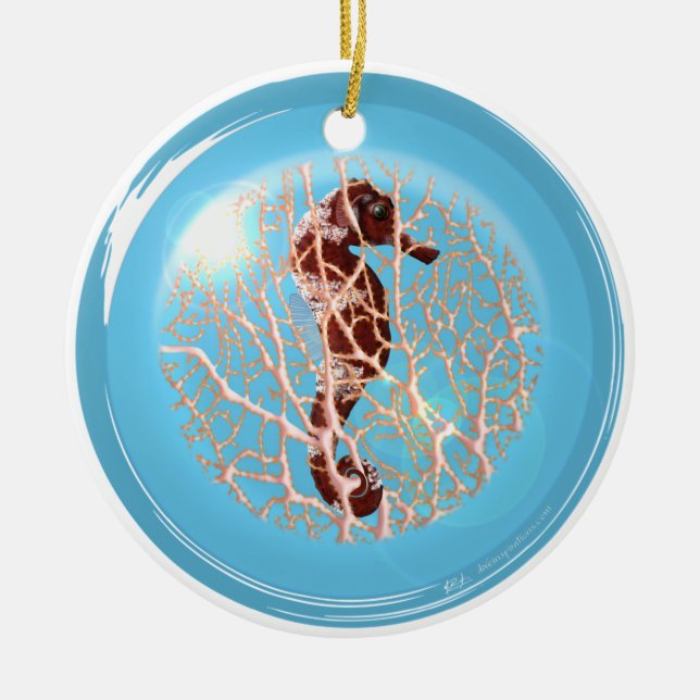 Seahose en un ornamento de la burbuja (Frente)