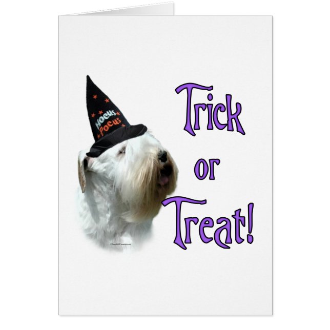 Sealyham Terrier Trick (Frente)