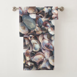 Seashell