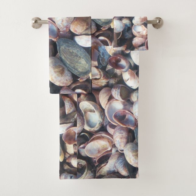 Seashell (In situ)