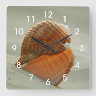 Seashell en el reloj de pared de la arena