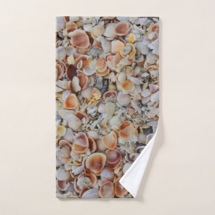 Seashells