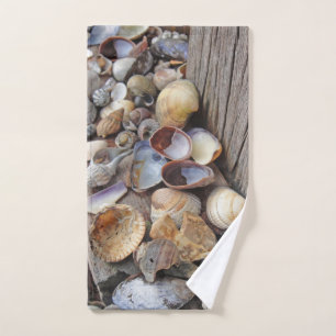 Seashells 2