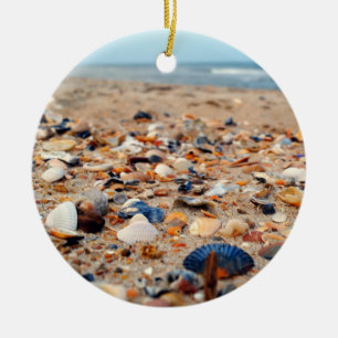 Seashells en el ornamento de la playa