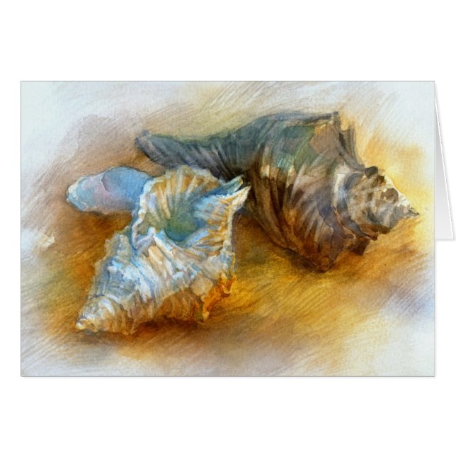 Seashells en la playa (Anverso (Horizontal))