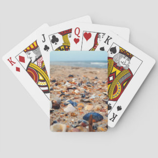 Seashells en los naipes de la playa
