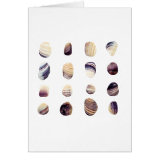 Seashells resistidos