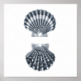 Seashells Sealife Group12A impresión#4 decoración