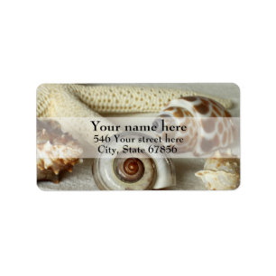 Seashells y etiquetas de dirección de las