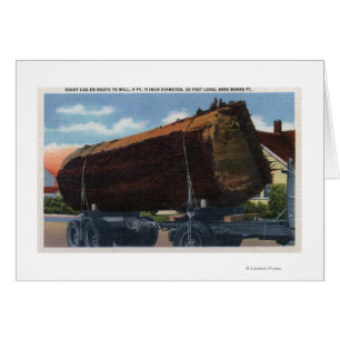 Seattle, Washington Giant Log en ruta a Mill