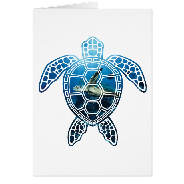 seaturtle-2 (Frente)