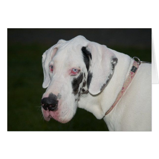 Sebastian (Anverso (Horizontal))