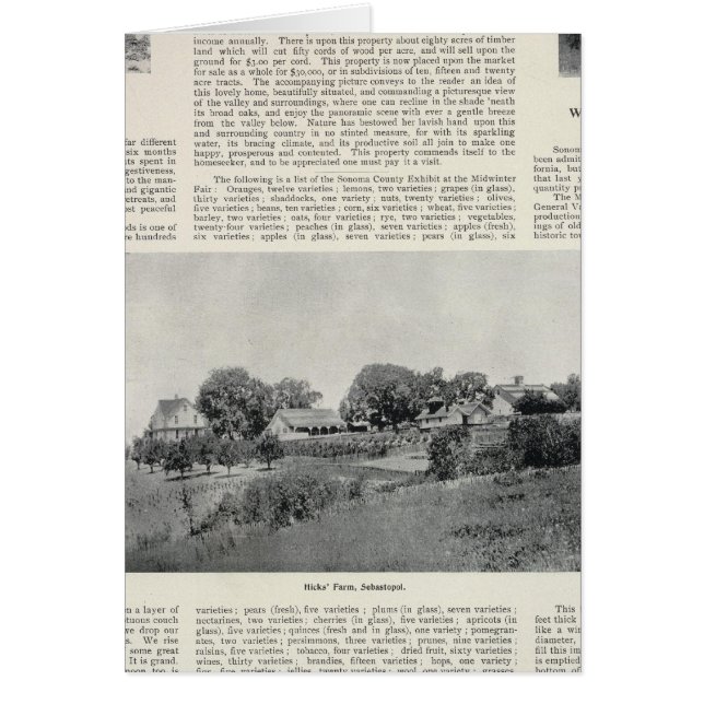 Sebastopol, California (Frente)