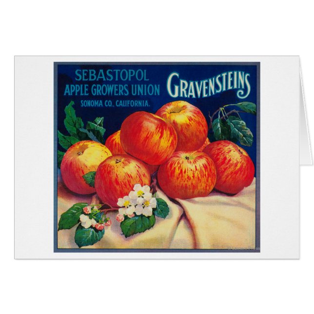 Sebastopol Gravensteins Apple LabelSonoma, CA (Anverso (Horizontal))