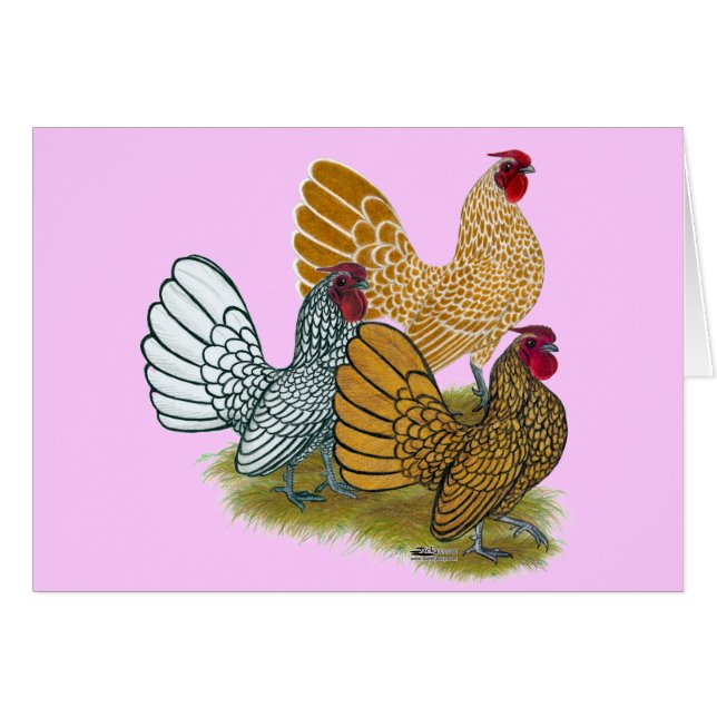 Sebright Rooster Assortment (Anverso (Horizontal))