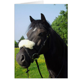 Sección D de galés