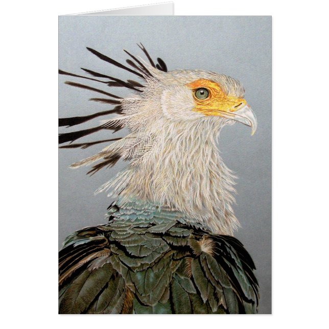 Secretario Bird (Frente)