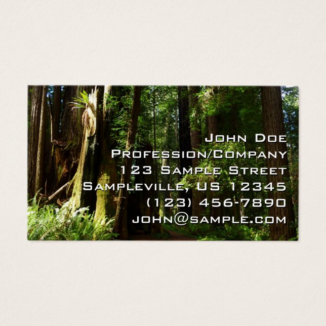 Secuoyas y ferris en el Parque Nacional Redwood (Frente)