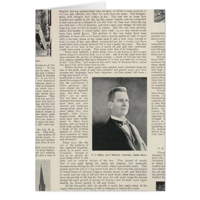 Secuoyia de Sonoma, California (Frente)