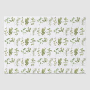 Seda 6 Papel de tejidos HERBS FRESCOS I