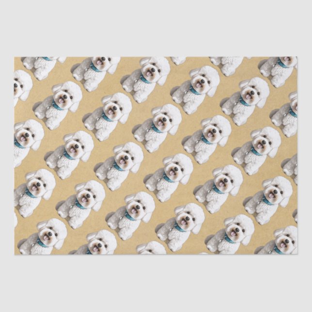 Seda Amigo de Bichon lindo sobre fondo de papel acoplad (Anverso)