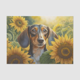 Seda Amor de cachorro de girasol, papel tisú de dachshu