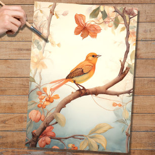 Seda Ave en Florencia 5 Papel de descomposición