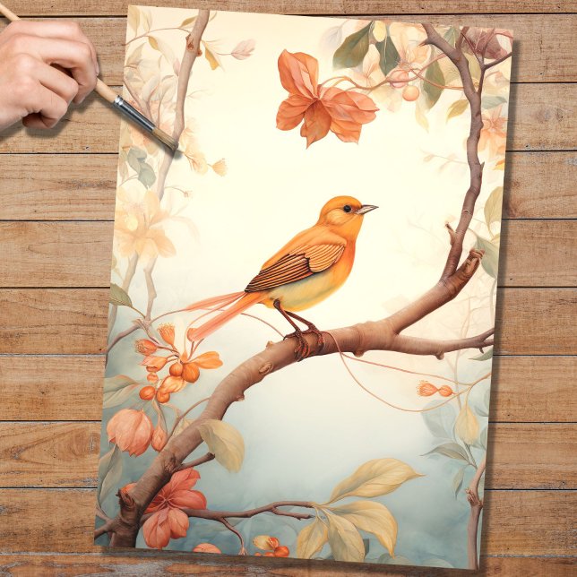 Seda Ave en Florencia 5 Papel de descomposición (Subido por el creador)