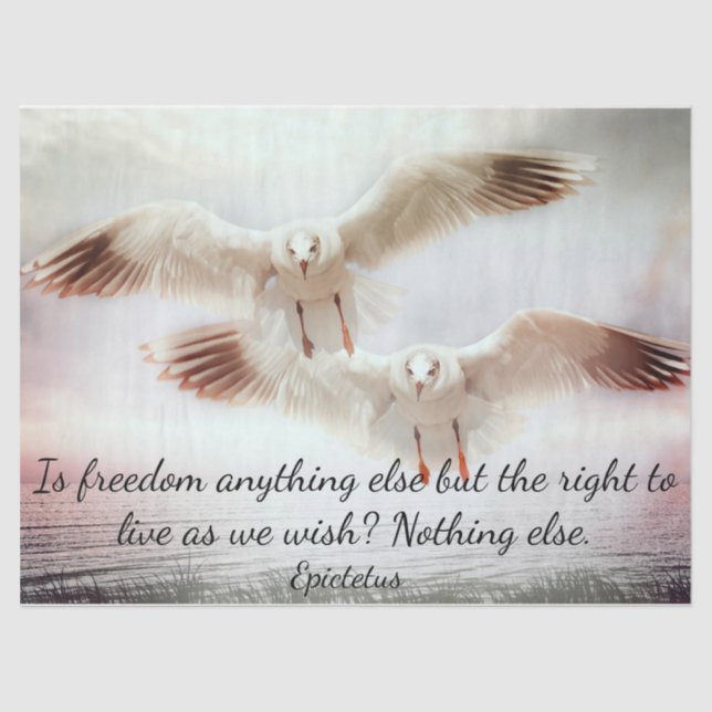 Seda Aves en papel de defensa (Anverso)