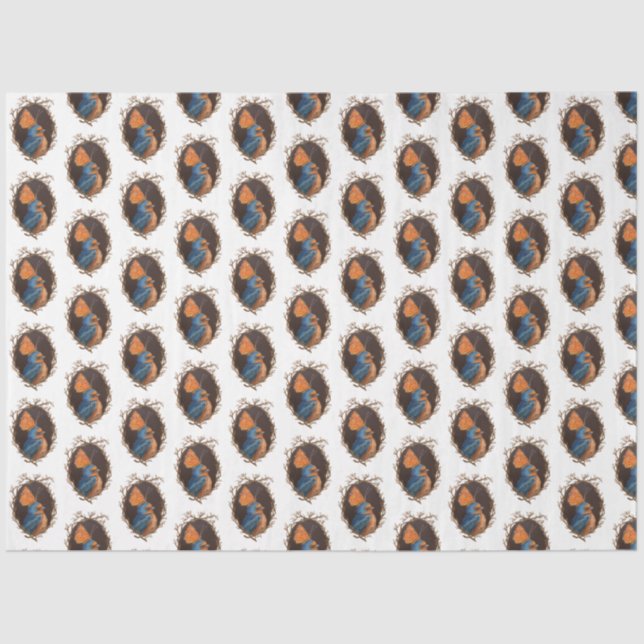 Seda Barba Tragar con papel de tejido de mariposa (Anverso)