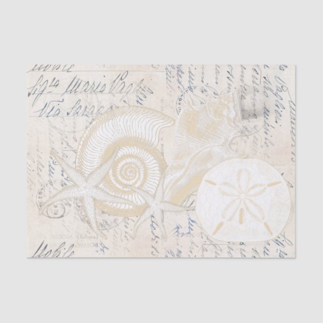 Seda Beach Seashells Cream Papel De Tejido Italiano (Anverso)