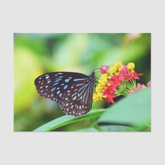 Seda Bonito Papel De Tejido De Mariposa Y Flores (Anverso)