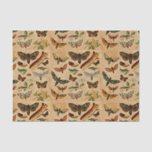 Seda Bugs & Butterflies Patrón de papel con manchas vin