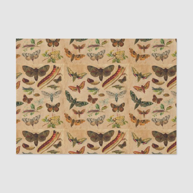 Seda Bugs & Butterflies Patrón de papel con manchas vin (Anverso)