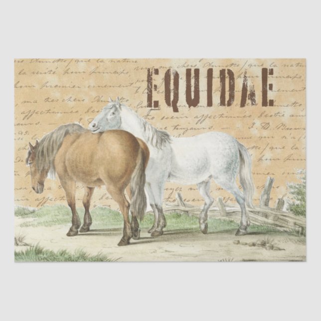 Seda Caballos de época en papel de tejido pastoral (Anverso)