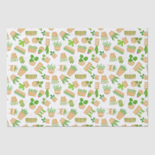 Seda Cactus de plantas de la casa sobre papel de tejido