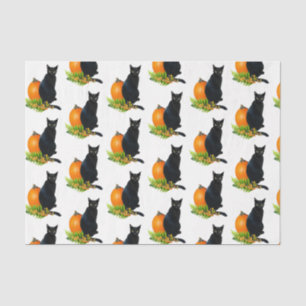 Seda Calabaza de gato negro transforma papel de tejidos