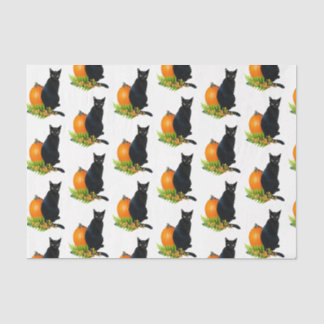 Seda Calabaza de gato negro transforma papel de tejidos