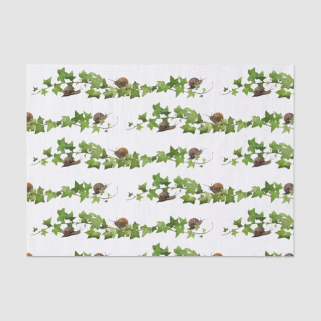 Seda Caracoles con papel de hiedra (Anverso)