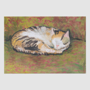 Seda Cat. Papel de melocotón de agosto