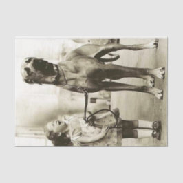 Seda Chica de cosecha con papel de tapete de perro con 