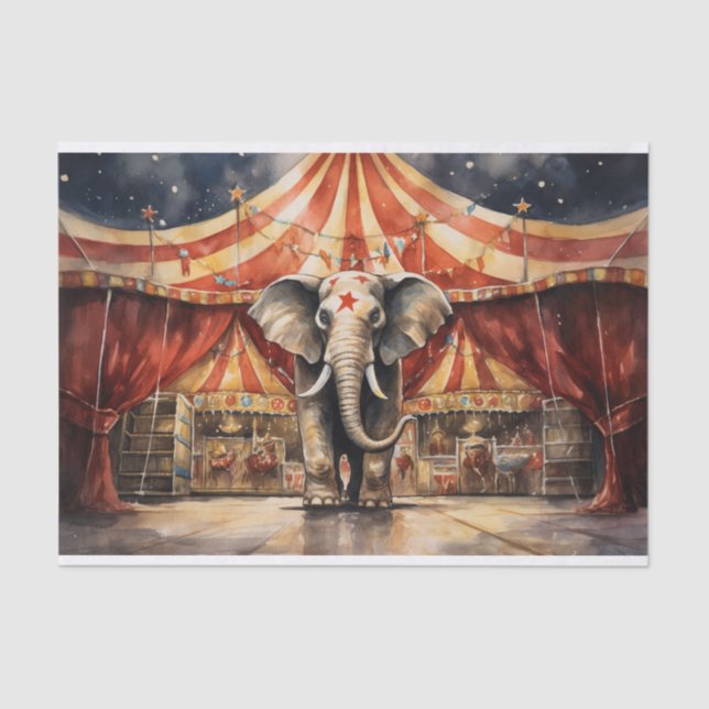 Seda Circus Elephant 4 Papel de desunión (Anverso)